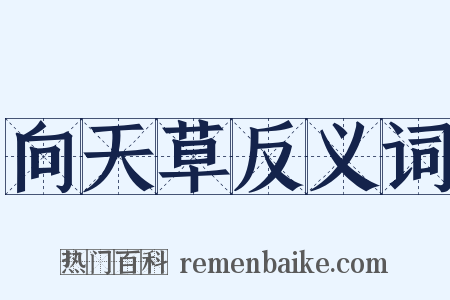 向天草反义词是什么意思的图片